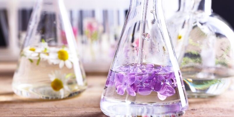 Fresh Kokuları Sevenlere Özel Çiçekli Kadın Parfümleri