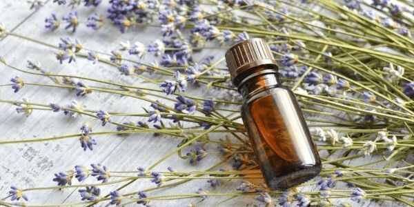 Lavanta Yağı 101: Nasıl Kullanılır? Faydaları Nelerdir?