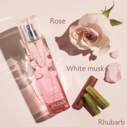 Caudalie Rose de Vigne Gül Aromalı Parfüm 50 ml - 3