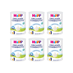 Hipp 1 Organik Combiotic Bebek Maması 350 Gr 6 LI Paket - Hipp