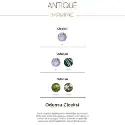Imprime Antique Edp Erkek Parfümü 100 ml - 4