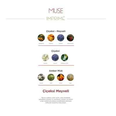 Imprime Muse Edp Kadın Parfümü 50 ml - 4