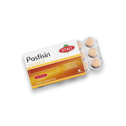 Otacı Pastisin Ihlamur Bal 24 Pastil - 5